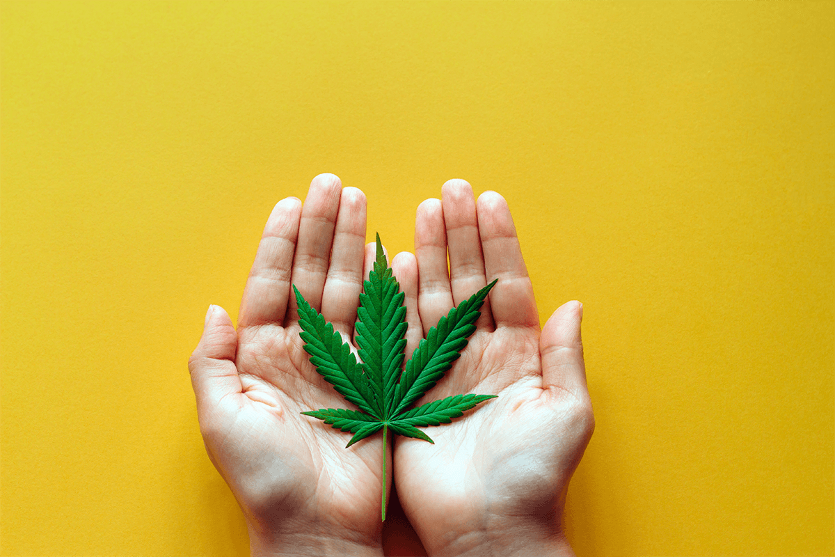 Finding Love and Connection Through Cannabis and Online Dating